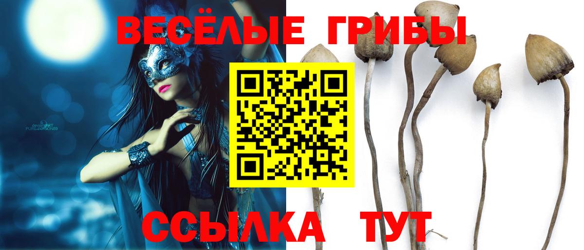 Дмитров  Галлюциногенные грибы ЛСД  Вход с VPN  Галлюциногенные грибы прущие грибы 